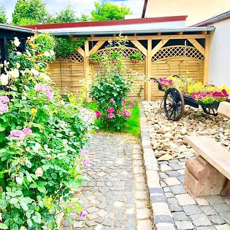 Ferienwohnungen Grimma 4 Exteriér fotografie