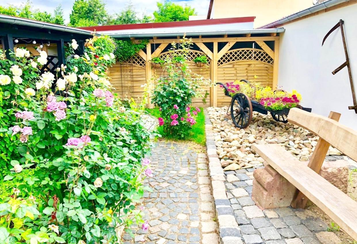 Ferienwohnungen Grimma 4 Exteriér fotografie